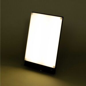 Northern Light Technologies Therapy Lamp